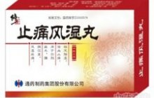 止痛风湿丸