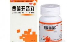 金嗓开音丸