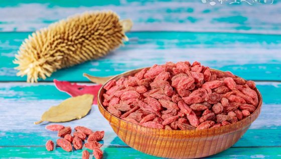 枸杞子补肝阳还是肝阴