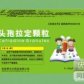头孢拉定颗粒