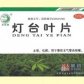 灯台叶片