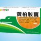 先锋药业黄柏胶囊