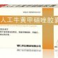 辅仁人工牛黄甲硝唑胶囊