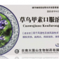 草乌甲素口服溶液
