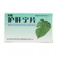 药圣谷护肝宁片