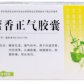藿香正气胶囊