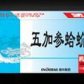 一正五加参蛤蚧精