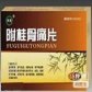 附桂骨痛片