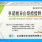 单硝酸异山梨酯缓释片
