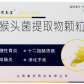 谓葆谓泰宝(猴头菌提取物颗粒)