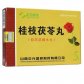 正元盛邦桂枝茯苓丸