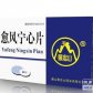 景忠山(愈风宁心片)