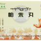神水藏药(帕朱丸)