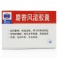 修正麝香风湿胶囊